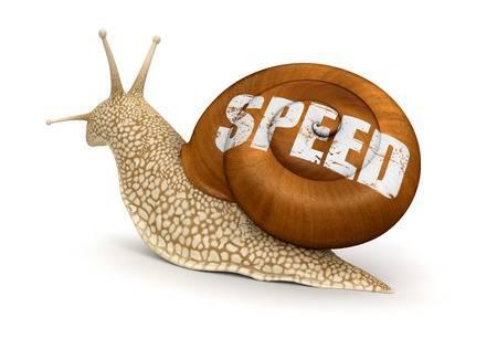 The speed of the website